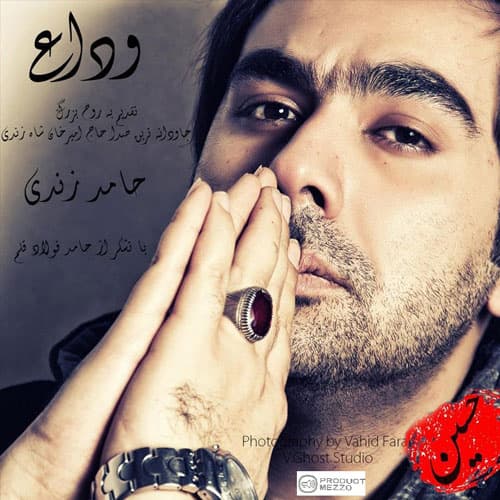 Veda · Hamed Zandi