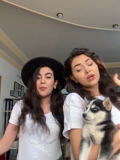 Baghalam Kon Eshgham · Kamran & Hooman