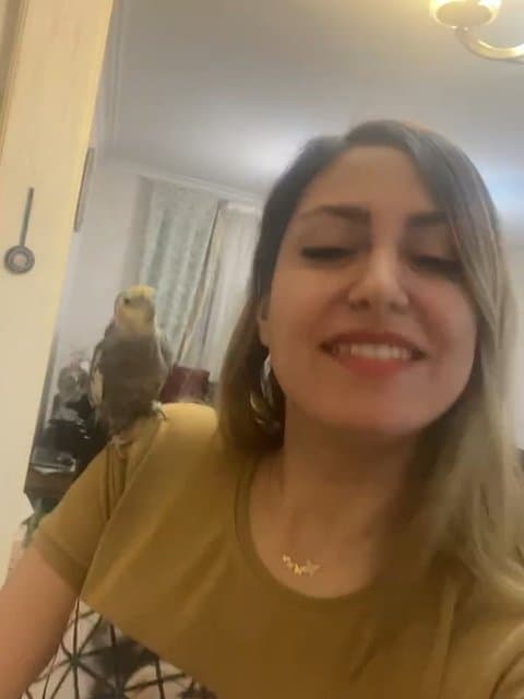 Taghche Bala · Mohsen Ebrahimzadeh