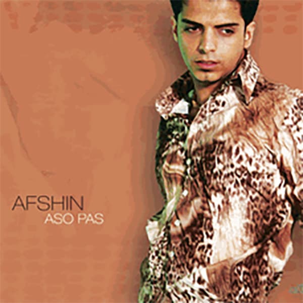 Kheili Vaghte · Afshin