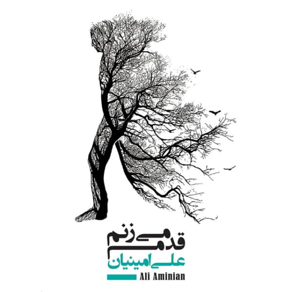 Vaghti Nisti · Ali Aminian