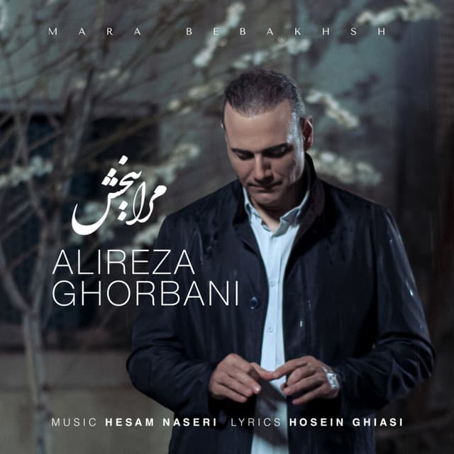 Mara Bebakhsh · Alireza Ghorbani