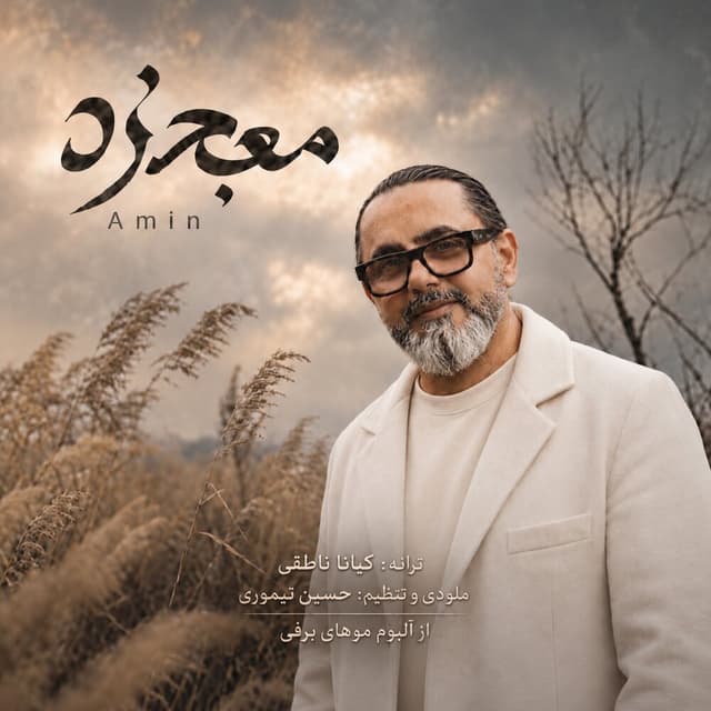 Mojezeh · Amin