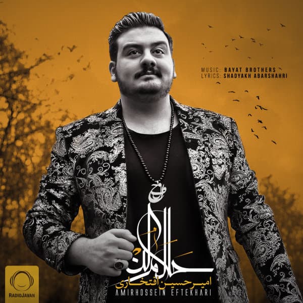 Halalam Kon · Amirhossein Eftekhari