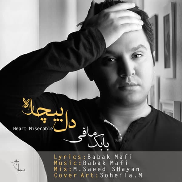 Dele Bichareh · Babak Mafi