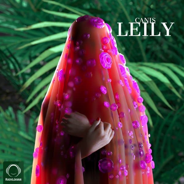 Leily · Canis