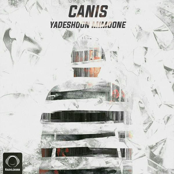 Yadeshoon Mimoone · Canis