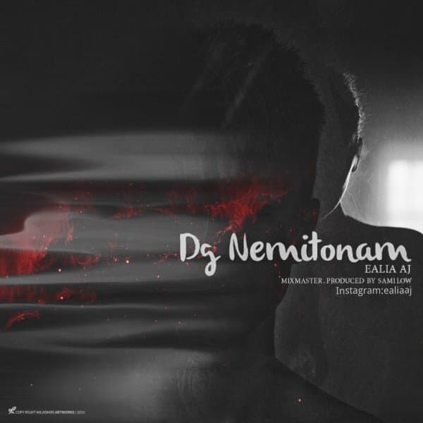 Dg Nemitonam · Ealia Aj