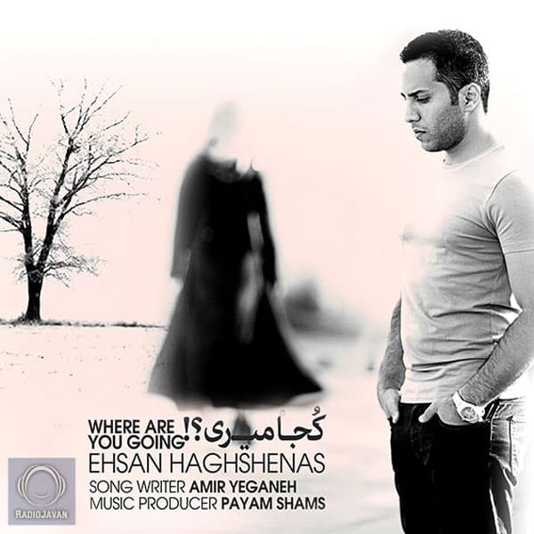 Koja Miri · Ehsan Haghshenas
