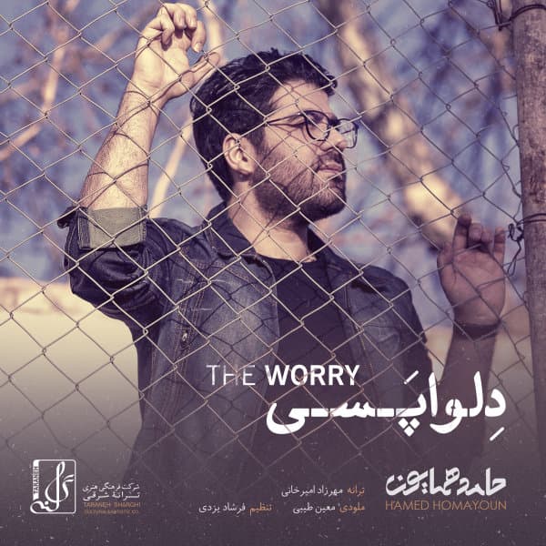 Delvapasi · Hamed Homayoun