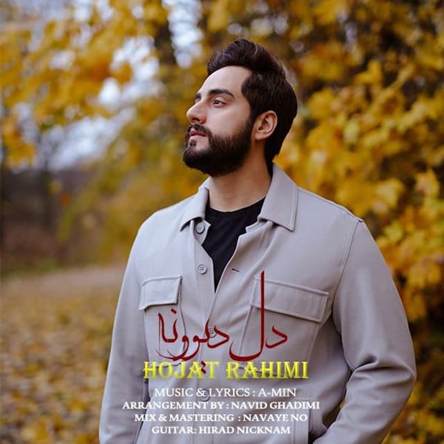 Dele Divooneh · Hojat Rahimi
