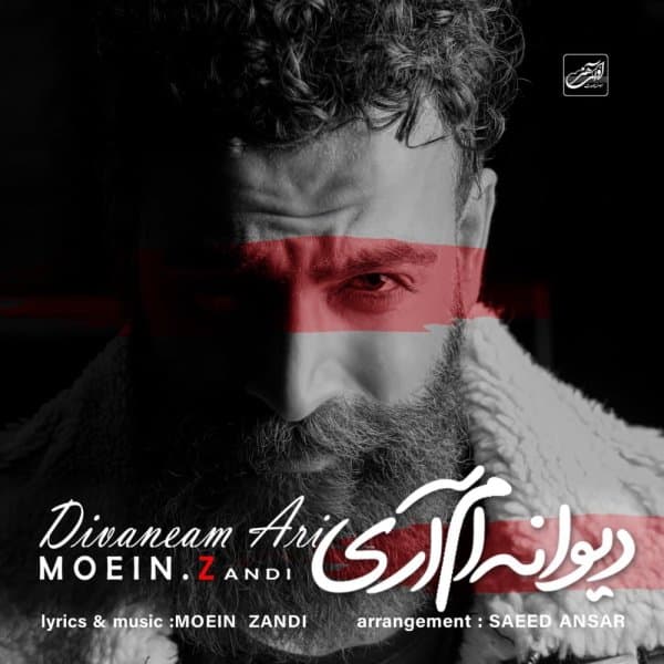 Divaneam Ari · Moein Z