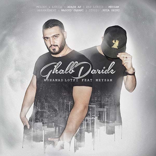 Ghalb Daride · Mohammad Lotfi & Meysam