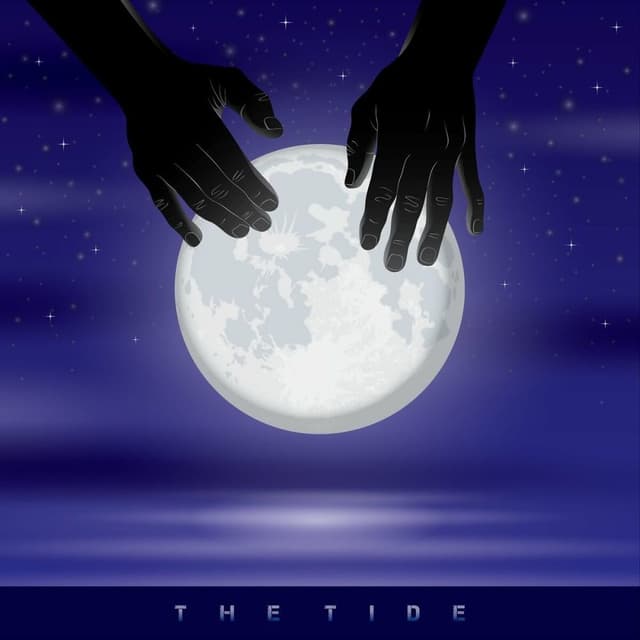 The Tide · Naghib Shanbehzadeh