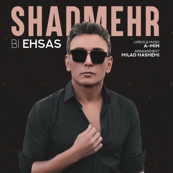 Bi Ehsas · Shadmehr Aghili