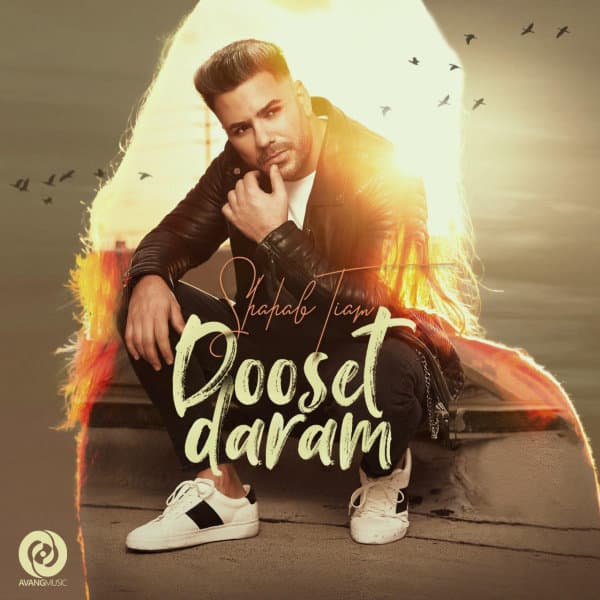 Dooset Daram · Shahab Tiam