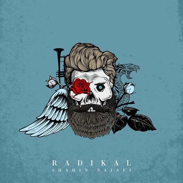 Aram · Shahin Najafi