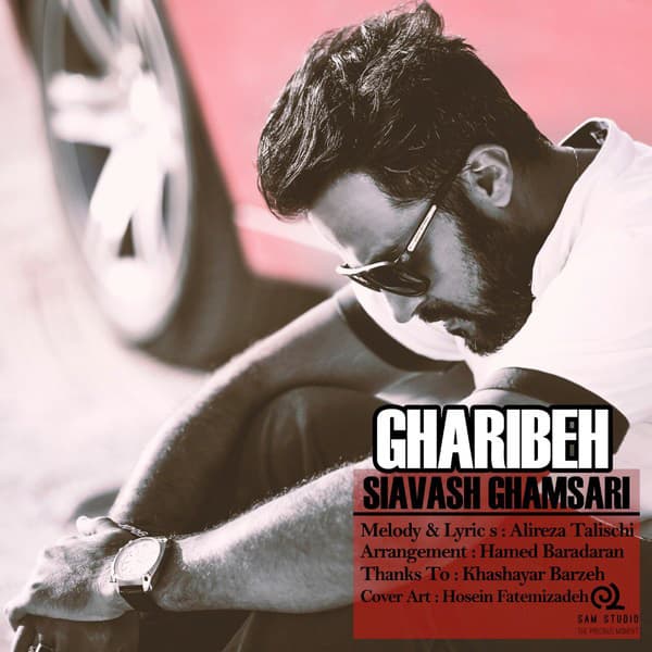 Gharibe · Siavash Ghamsari