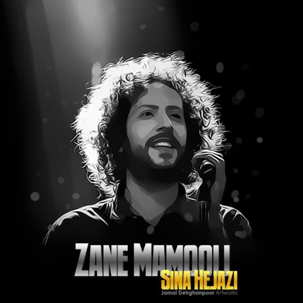 Zane Mamooli · Sina Hejazi