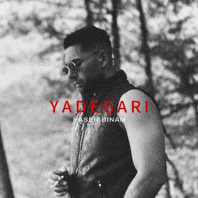 Yadegari · Yaser Binam
